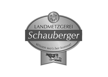 ref-schauberger-logo-grau-01